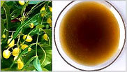 Neem Oil Neem Oil