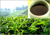 Anti Acidity Tea Anti Acidity Tea