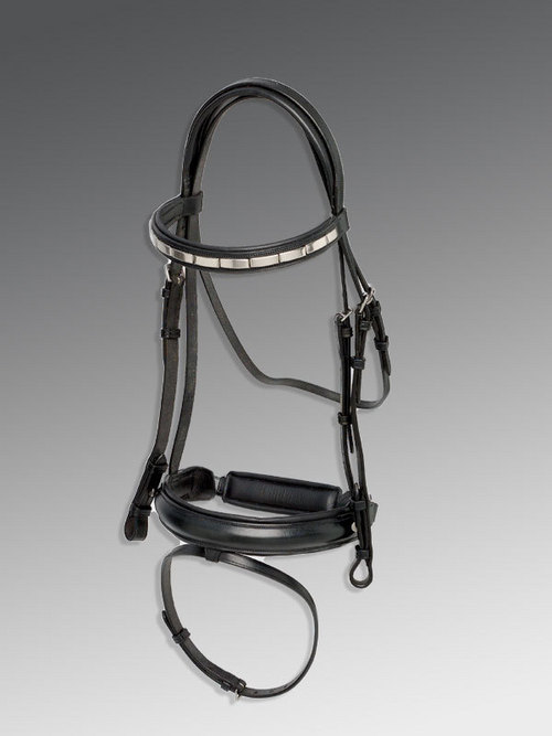 Western bridles Western bridles
