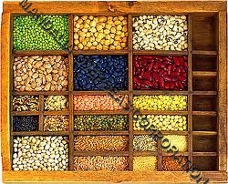 Food Grains Food Grains