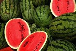 Water Melon Seeds Water Melon Seeds