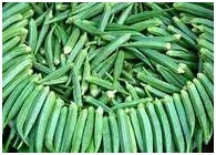 Lady Finger Seeds Lady Finger Seeds