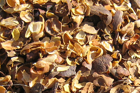 Coffee Husk Coffee Husk