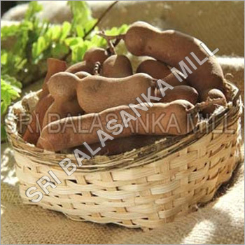 Tamarind Seed Pulp Tamarind Seed Pulp