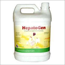 Animal Liver Oil Animal Liver Oil