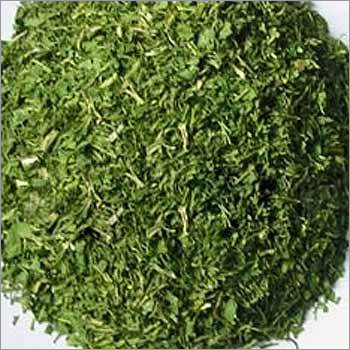Dehydrated Coriander Leaves Powder Dehydrated Coriander Leaves Powder