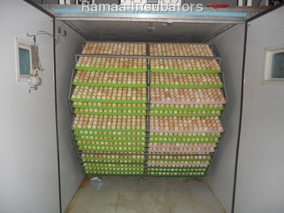 Egg Incubators Egg Incubators