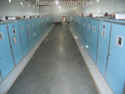 Poultry Incubators Poultry Incubators