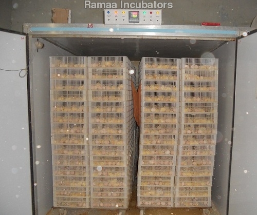 Chicken Incubators Chicken Incubators
