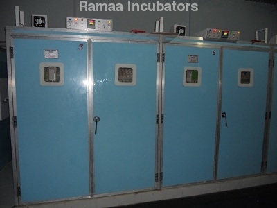 Poultry Double Setter Incubators Poultry Double Setter Incubators