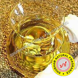 Gutkha Compound Gutkha Compound