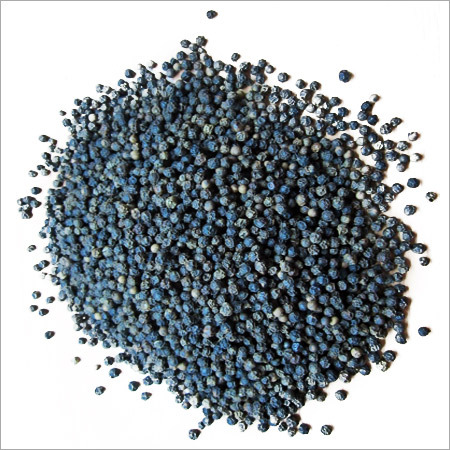 Black Pepper Seeds Black Pepper Seeds