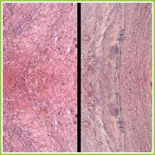 Indian Quartzite Tiles Indian Quartzite Tiles