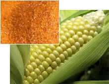 Corn Grit Corn Grit