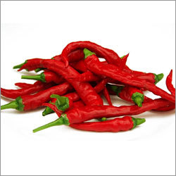 Dry Red Chilly Dry Red Chilly