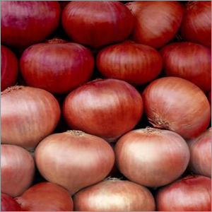 Onions Onions