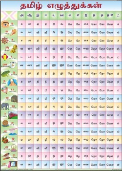 Worksheets Telugu Alphabets Chart alphabet charts exporter manufacturer supplier trading company tamil barakhadi charts