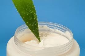alo vera cream alo vera cream