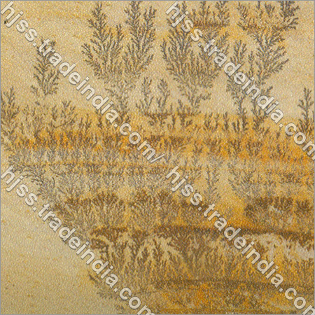 Fossil Printed Granite Fossil Printed Granite