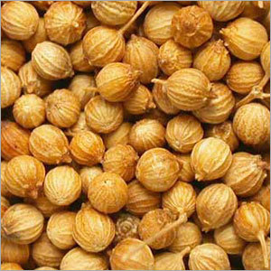 Coriander Seeds Coriander Seeds