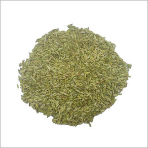 Fennel Seeds Fennel Seeds