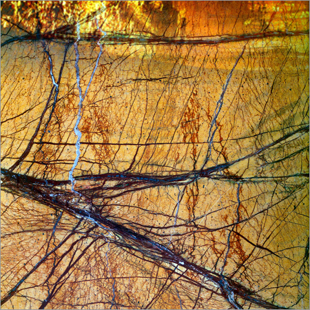 Rainforest Golden Marble Rainforest Golden Marble