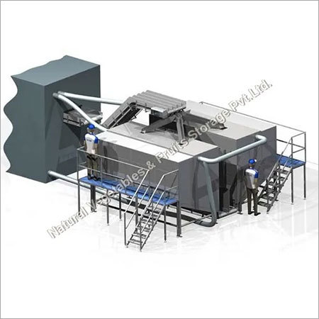 IQF System IQF System