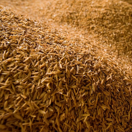 Rice Husk Rice Husk