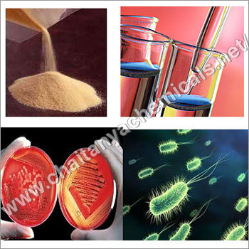 Tryptone Glucose Extract Tryptone Glucose Extract