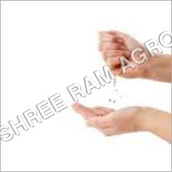 Seed Seed