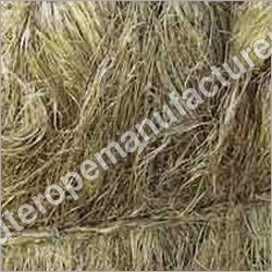 Hemp Fibers Hemp Fibers