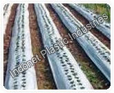 Mulching Film Mulching Film