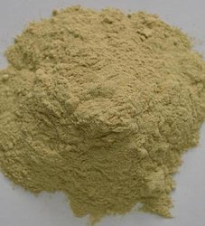 Dudhi Powder Dudhi Powder