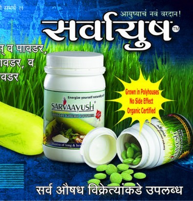 Bottle Gourd Dudhi Powder Bottle Gourd Dudhi Powder