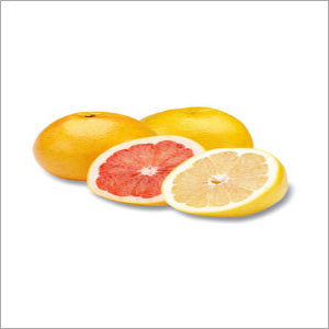 Fresh Grapefruit Fresh Grapefruit