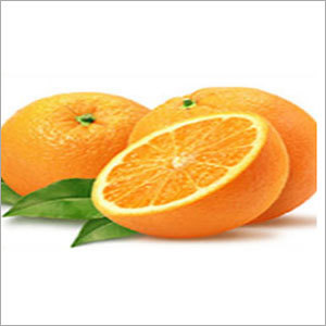 Fresh Orange Fresh Orange