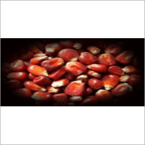 Red Maize Red Maize