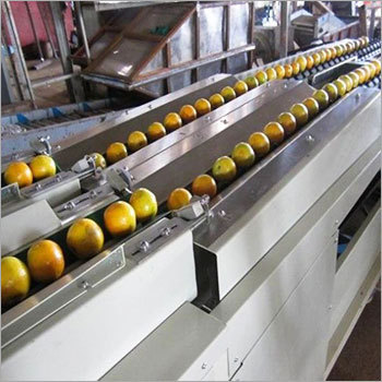Fruit Grading Equipment Fruit Grading Equipment