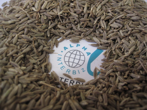Cumin Seeds - Singapore 1% Cumin Seeds - Singapore 1%