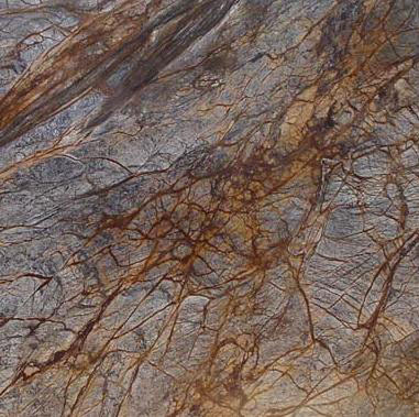 Rain Forest Brown Marble Rain Forest Brown Marble