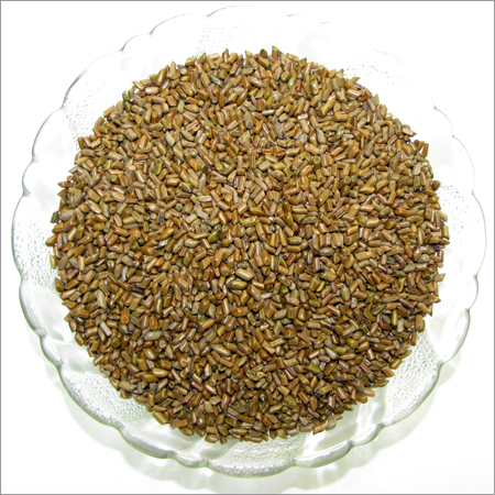 Cassia Tora Seeds Cassia Tora Seeds