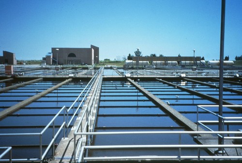 STP Plant STP Plant