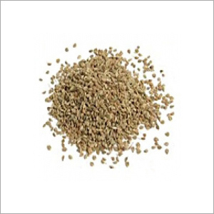 Ajwain Seed Extracts Ajwain Seed Extracts