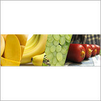 Fruits Fruits