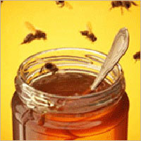 Honey Honey