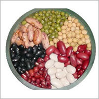 Pulses Pulses