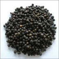 Black Pepper Black Pepper