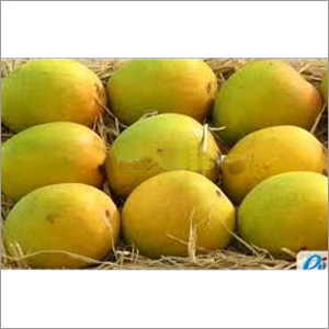 Fresh Mango Fresh Mango