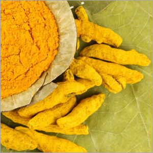 Yellow Turmeric Fingers Yellow Turmeric Fingers