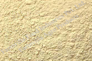 Dehydrated Garlic Powder Dehydrated Garlic Powder